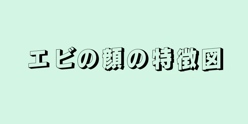 エビの顔の特徴図