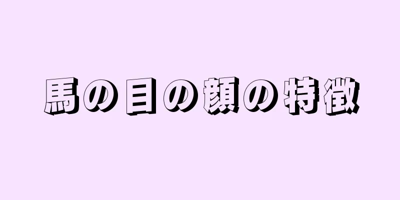 馬の目の顔の特徴