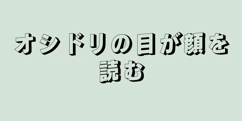 オシドリの目が顔を読む