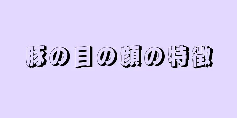 豚の目の顔の特徴