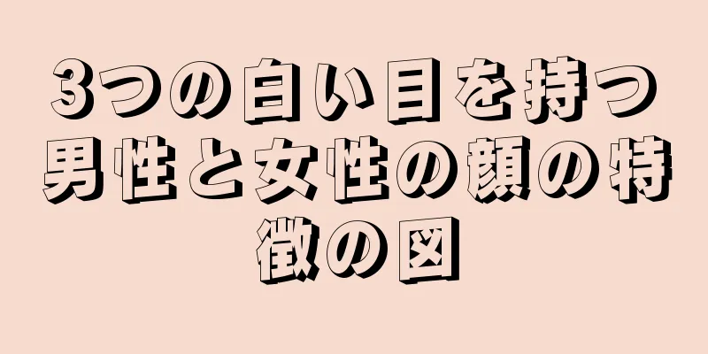 3つの白い目を持つ男性と女性の顔の特徴の図