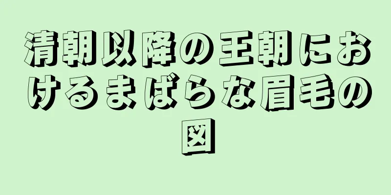 清朝以降の王朝におけるまばらな眉毛の図