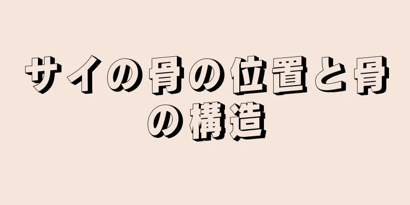 サイの骨の位置と骨の構造