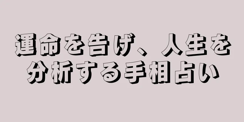 運命を告げ、人生を分析する手相占い