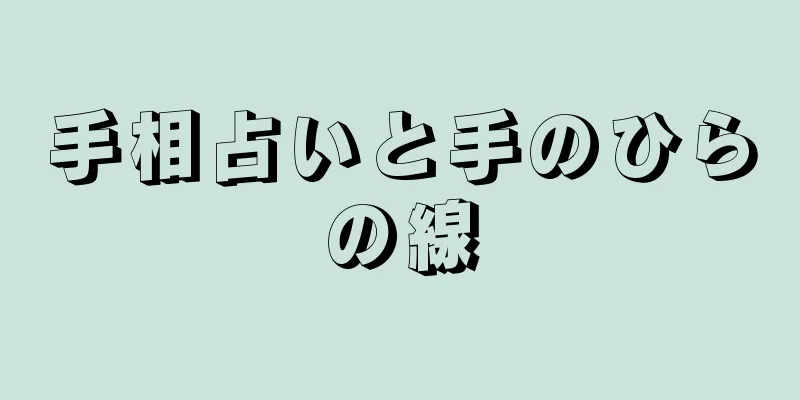 手相占いと手のひらの線