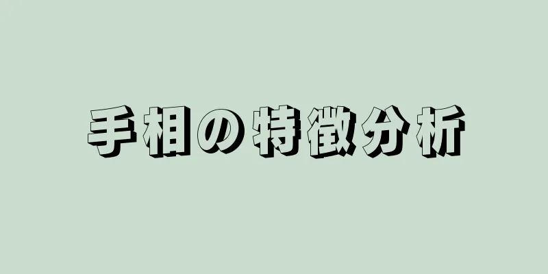 手相の特徴分析