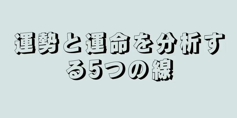 運勢と運命を分析する5つの線