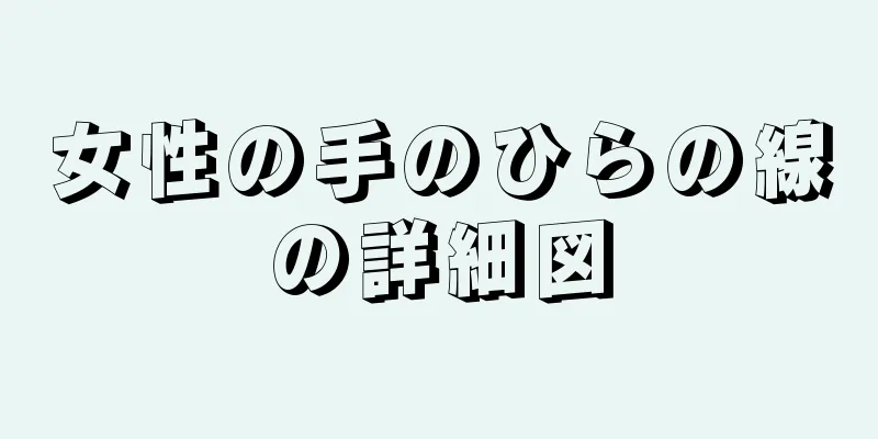 女性の手のひらの線の詳細図