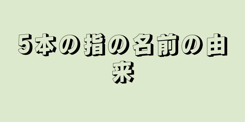 5本の指の名前の由来