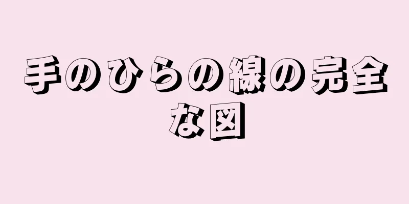 手のひらの線の完全な図