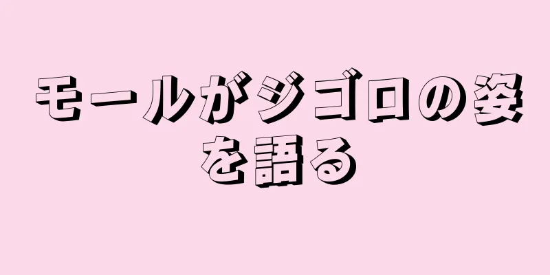 モールがジゴロの姿を語る