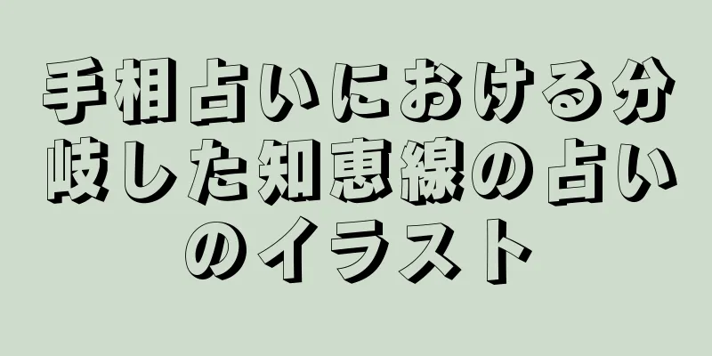 手相占いにおける分岐した知恵線の占いのイラスト