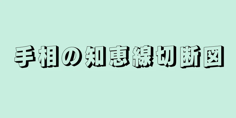 手相の知恵線切断図