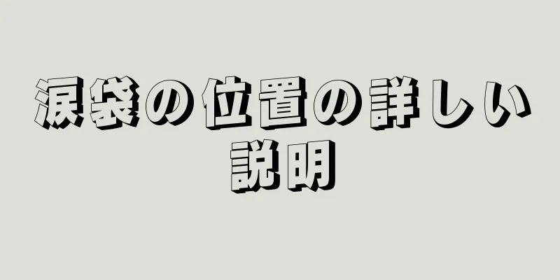 涙袋の位置の詳しい説明