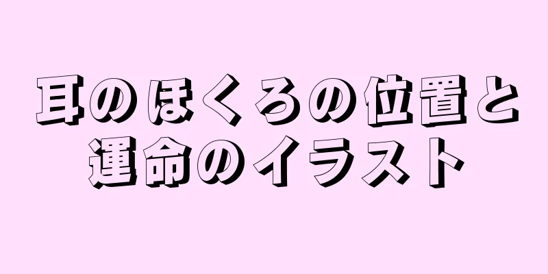 耳のほくろの位置と運命のイラスト