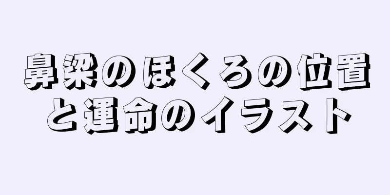 鼻梁のほくろの位置と運命のイラスト