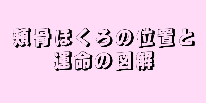 頬骨ほくろの位置と運命の図解