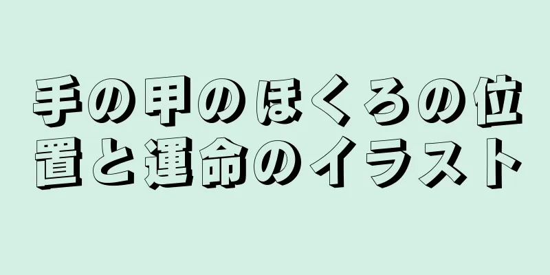 手の甲のほくろの位置と運命のイラスト