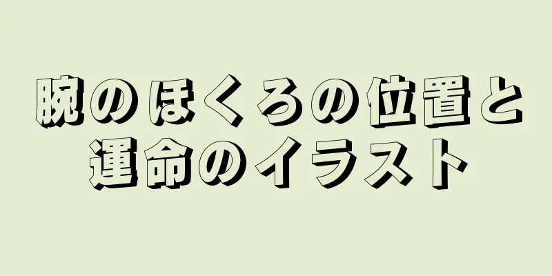 腕のほくろの位置と運命のイラスト