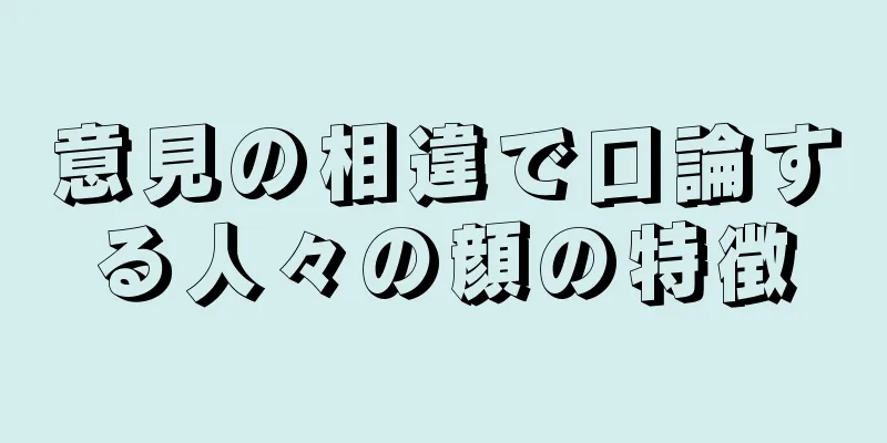 意見の相違で口論する人々の顔の特徴