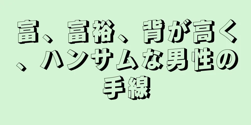 富、富裕、背が高く、ハンサムな男性の手線