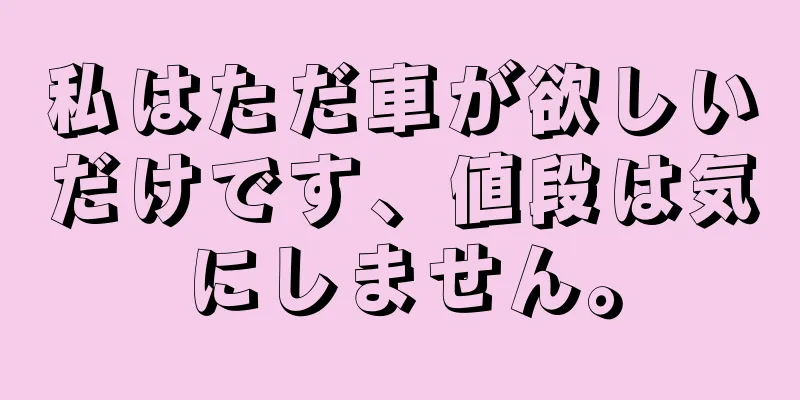 私はただ車が欲しいだけです、値段は気にしません。