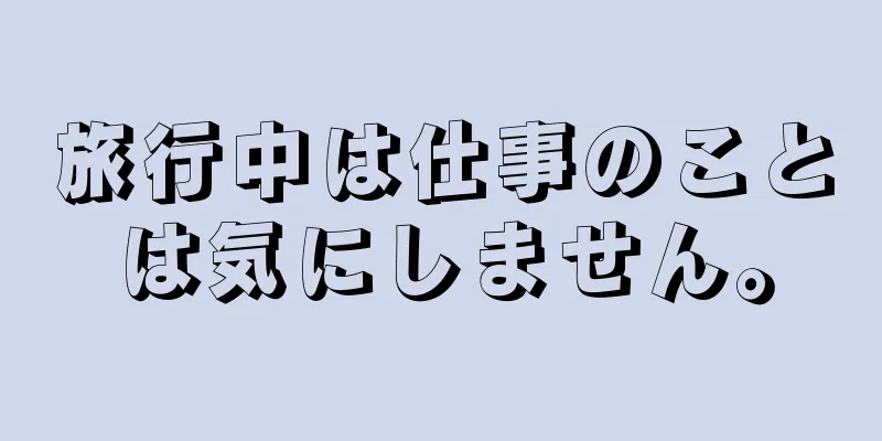 旅行中は仕事のことは気にしません。