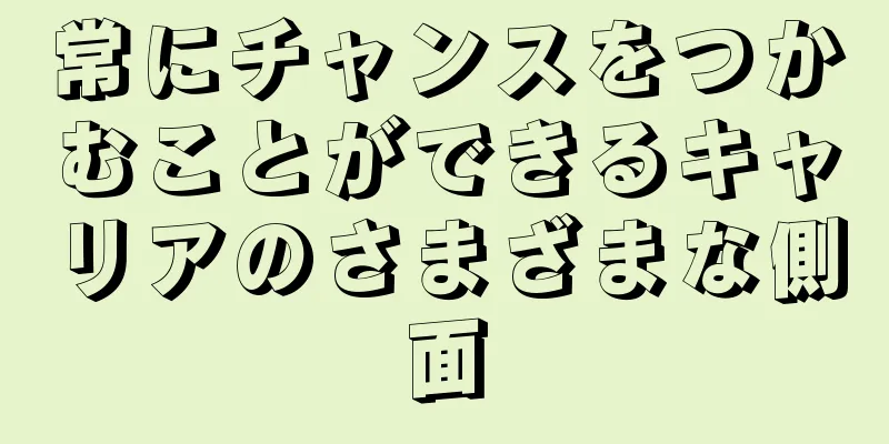 常にチャンスをつかむことができるキャリアのさまざまな側面