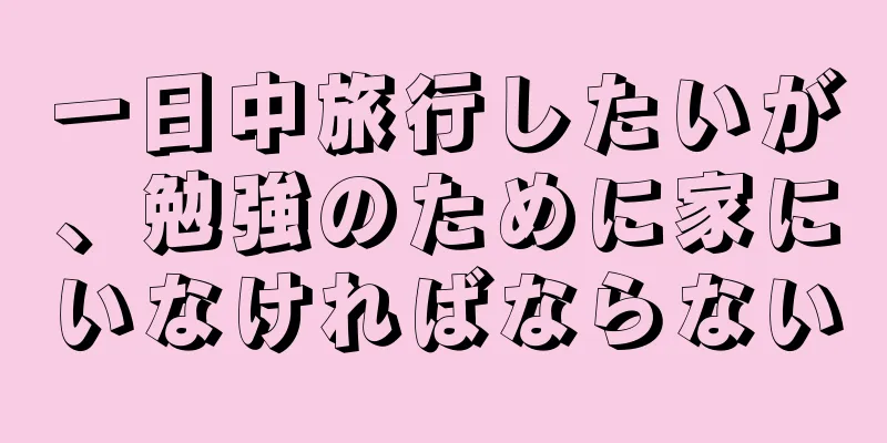 一日中旅行したいが、勉強のために家にいなければならない