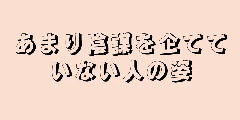 あまり陰謀を企てていない人の姿