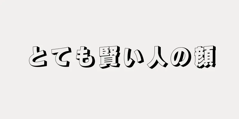 とても賢い人の顔