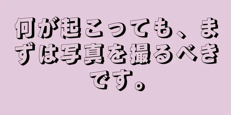 何が起こっても、まずは写真を撮るべきです。