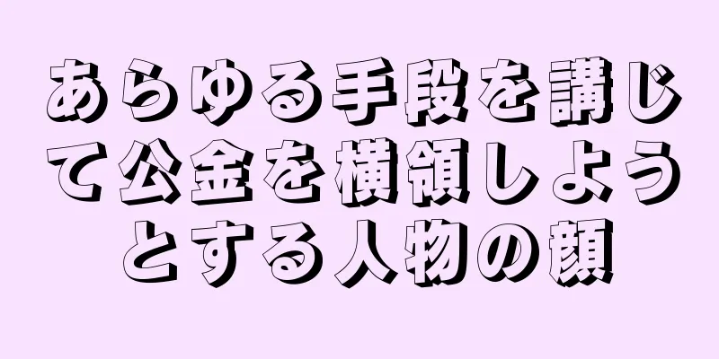 あらゆる手段を講じて公金を横領しようとする人物の顔