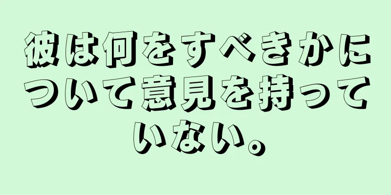 彼は何をすべきかについて意見を持っていない。