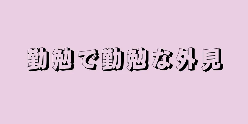 勤勉で勤勉な外見