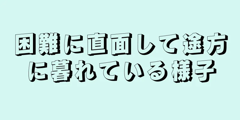 困難に直面して途方に暮れている様子