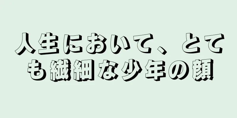 人生において、とても繊細な少年の顔