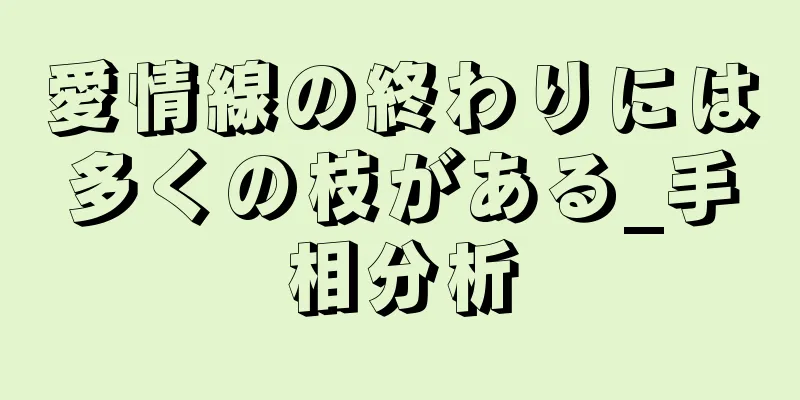 愛情線の終わりには多くの枝がある_手相分析