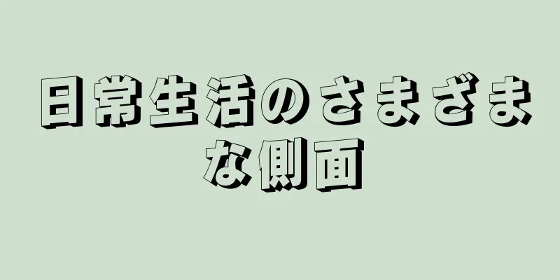 日常生活のさまざまな側面