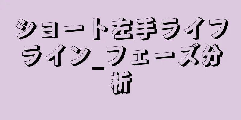 ショート左手ライフライン_フェーズ分析