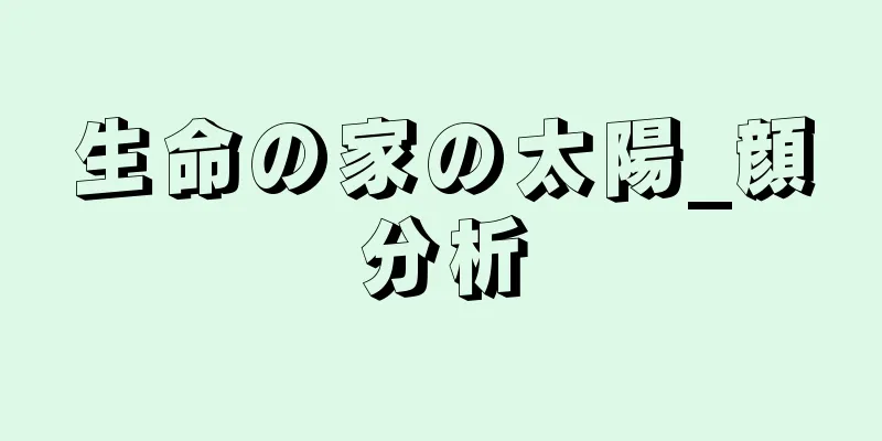 生命の家の太陽_顔分析