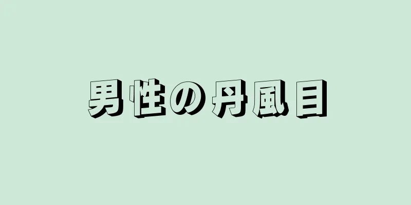 男性の丹風目