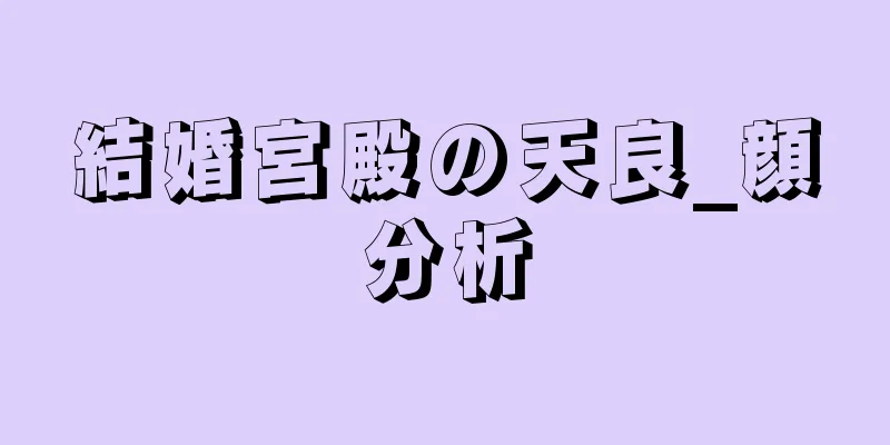 結婚宮殿の天良_顔分析