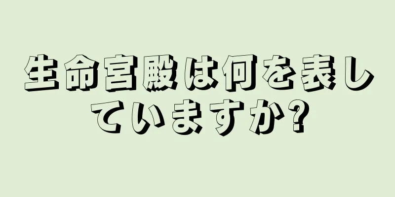 生命宮殿は何を表していますか?