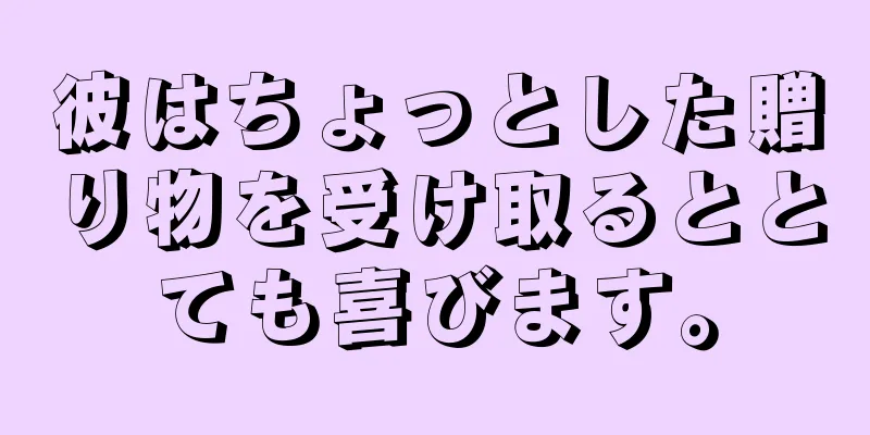 彼はちょっとした贈り物を受け取るととても喜びます。