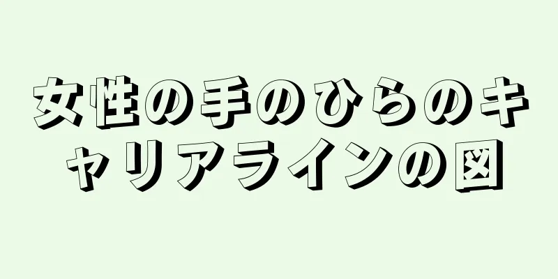 女性の手のひらのキャリアラインの図