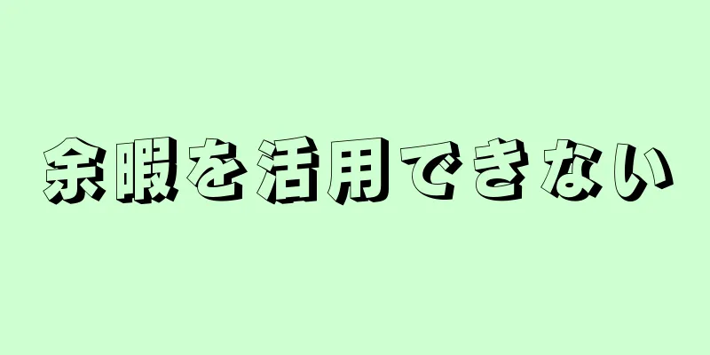 余暇を活用できない