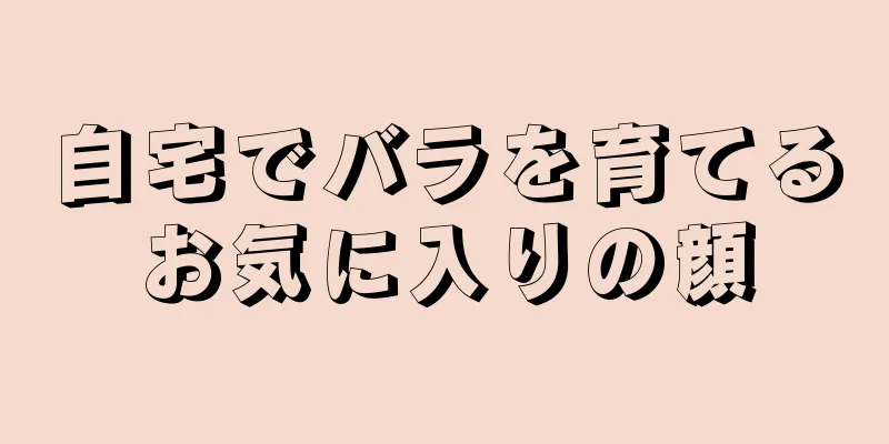 自宅でバラを育てるお気に入りの顔