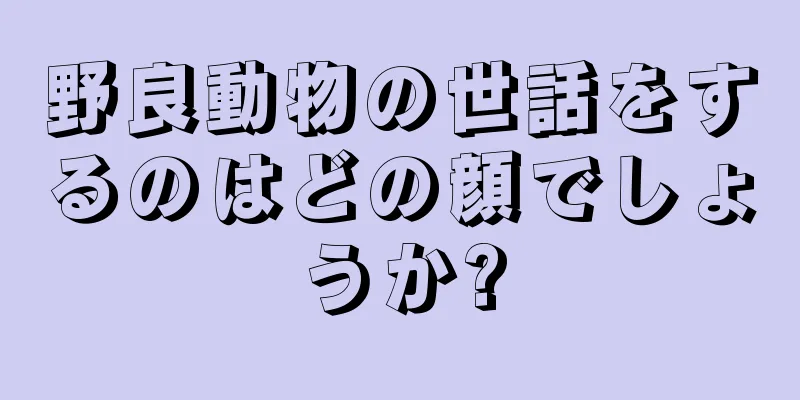 野良動物の世話をするのはどの顔でしょうか?