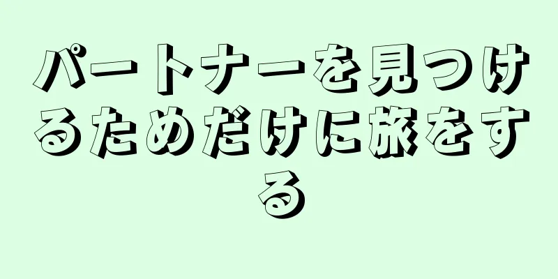 パートナーを見つけるためだけに旅をする